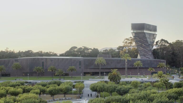 10th Anniversary of the New de Young Museum and its Sheet Metal Magic