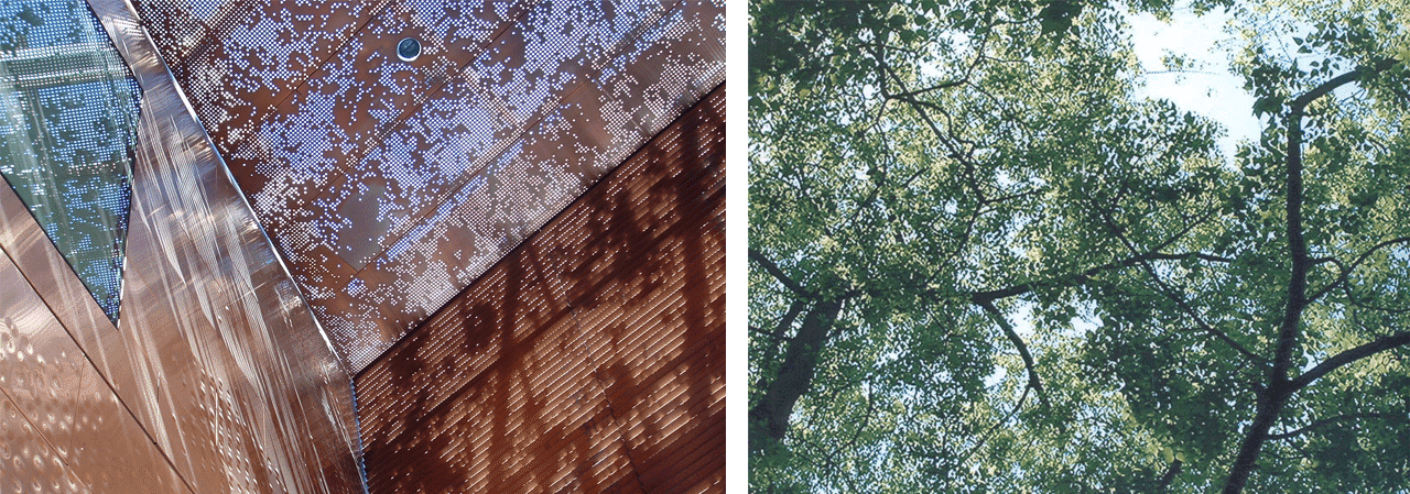 Source imagery and installed panel system for the ‘Children’s Entry’ at the de Young Museum.
