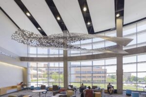 Structural Evolution