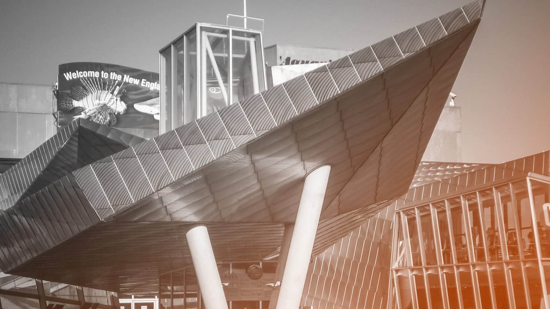 1_new-england-aquarium-2835