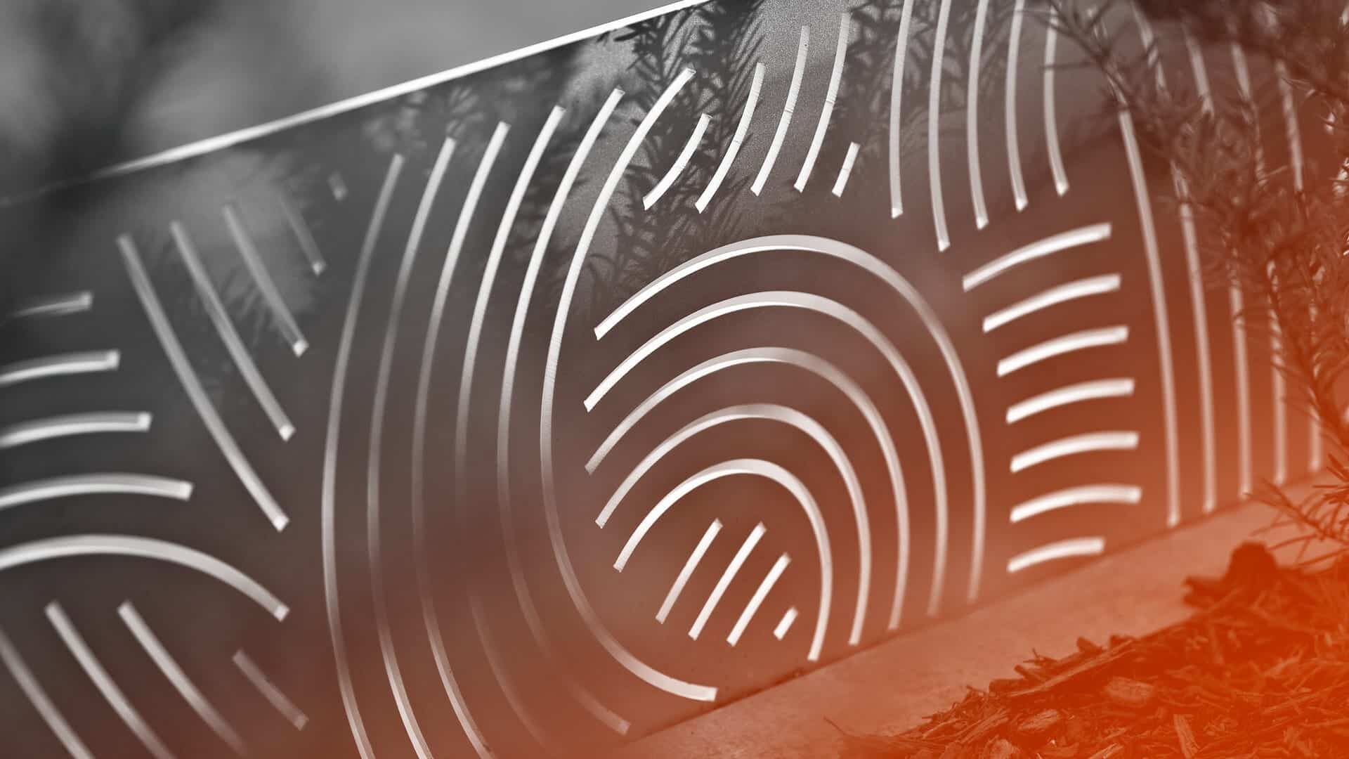 1_071105_young_dring_001