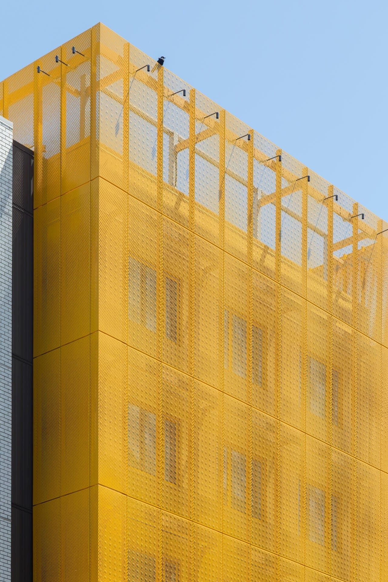 pearl-marriott-copyright-zahner-9925